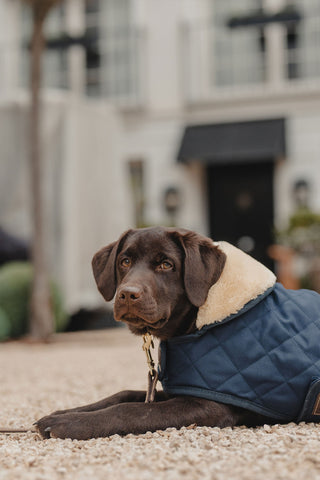 Original Hundedækken 160g