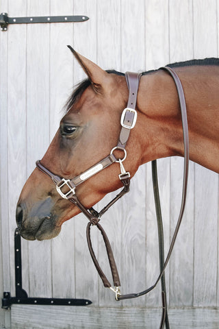 Lederen Kettinghalstouw