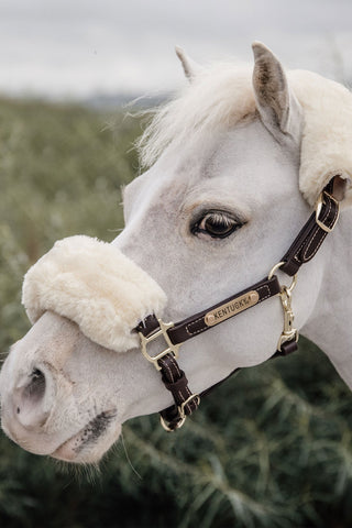 Licol en cuir Mouton Synthétique Marron