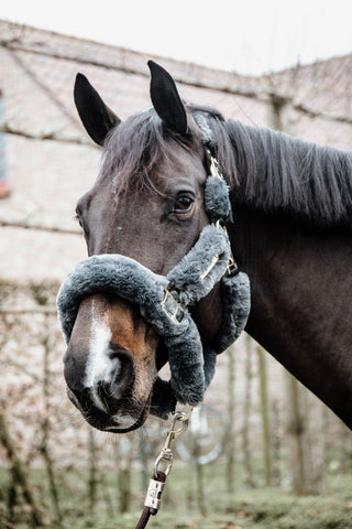 Schapenvacht Halster Grijs