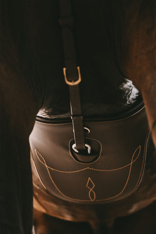 Brązowy popręg z płytą brzuszną