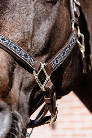 Licol en cuir Pearls