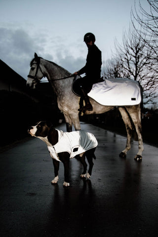 Reflecterend rijdeken