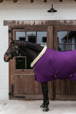 Showdeken 160g paars