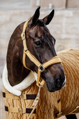 Couverture de Présentation Velours 160g Bordeaux