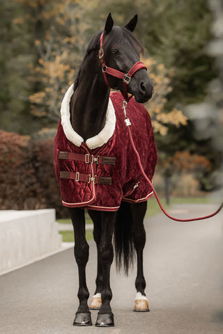 Couverture de Présentation Velours 160g Bordeaux