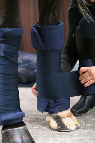 Bandes de box Grises