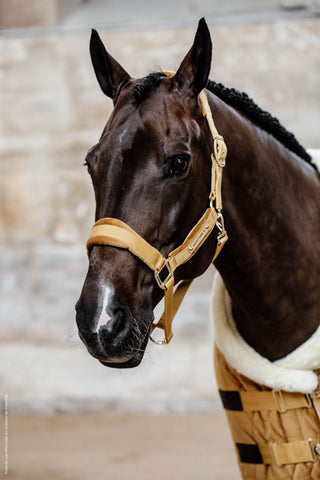 Velvet Grimma Bordeaux