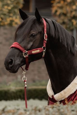 Velvet Grimma Bordeaux