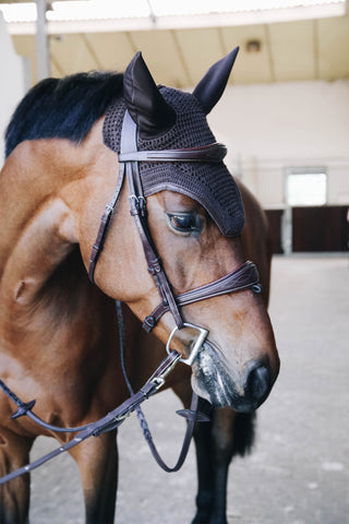 Wellington Czaprak na Uszy Skórzany