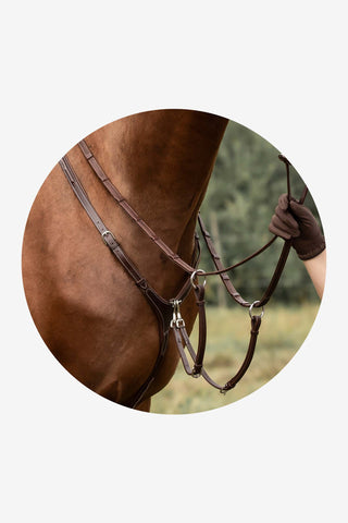 Vorderzeug Fazzino mit Martingal Schokolade