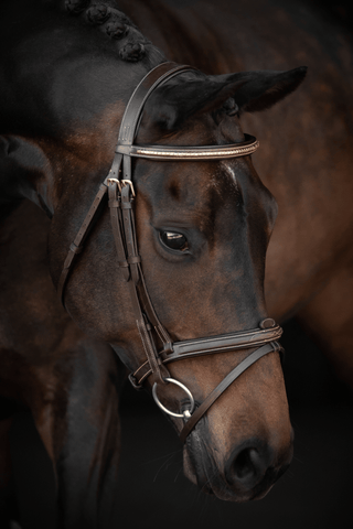 Bride Preston Fancy Chocolate