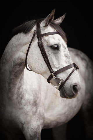 Basic Bridle Trainer Black