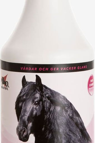 Protector Show Schampo