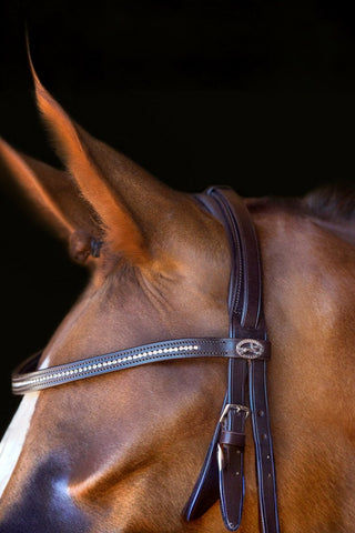 Schockemöhle Copenhagen Remontträns