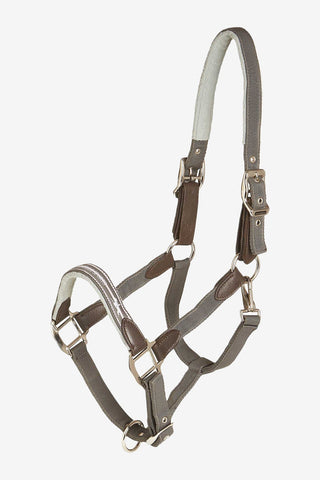 Schockemöhle Memphis Grimma