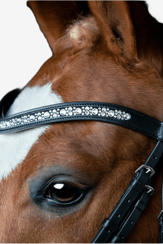 SD Design Danciero Träns