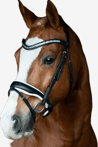 SD Design Danciero Träns