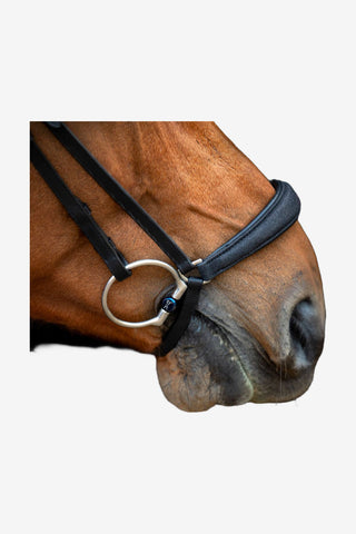 SD Design Hollywood Remont Nosgrimma