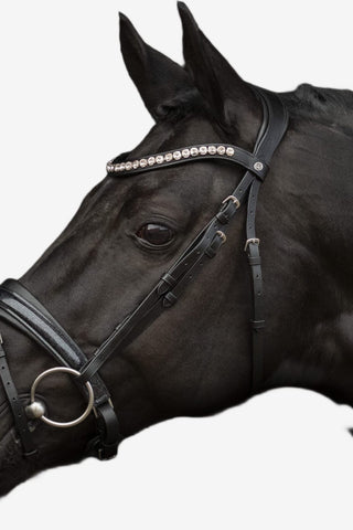 SD Design Mystery Träns Lack Glitter