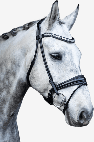 SD Design Mystery Träns Rundsytt