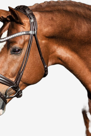 SD Design Träns Duke de Niro