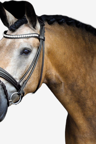 SD Design Träns Duke de Niro