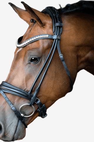 SD Design Träns Duke De Niro II