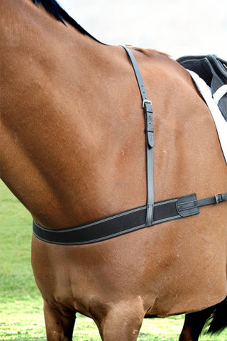 Shires Elastiskförbygel Blenheim