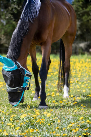 Shires Flughuva Öron+Nos