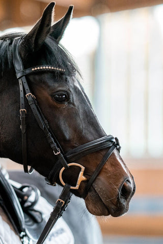 Dynamic Mors bridoon 2 parties