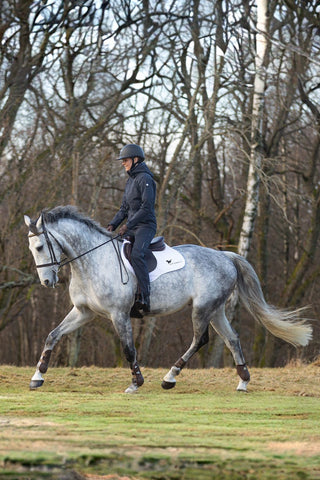 Stierna Equestrian Storm Regnjacka