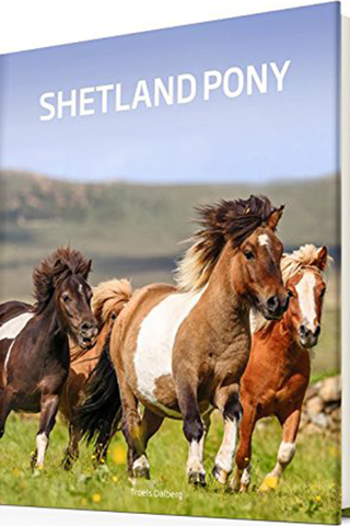Shetlandpony Buch