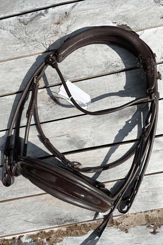 Utzon Equestrian Kandar Edinburgh