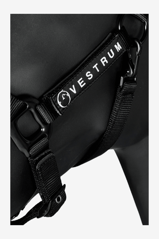 Vestrum Locri Grimma + Grimskaft