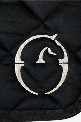 Vestrum Rapallo Schabrak Ponny